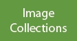 Digital Photograph Collection Button